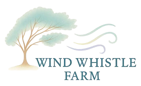 WWF-LOGO-TRANSPARENT